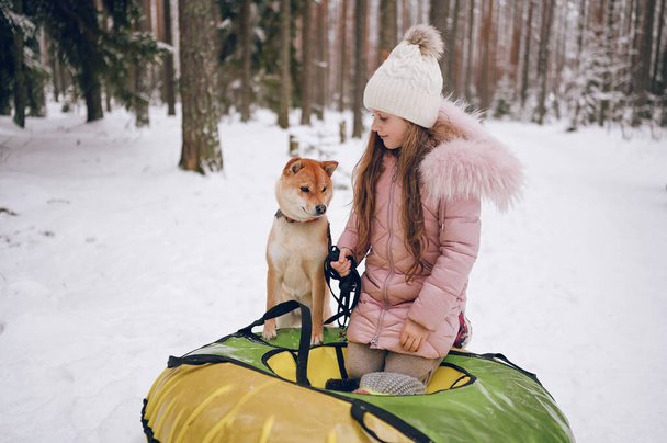 Malá roztomilá dívka v růžové teplé oblečení baví s červenou shiba inu pes jezdí nafukovací sněhové trubice ve sněhobílé zimě venku. Rodinné sportovní rekreační aktivity - Fotografie, Obrázek