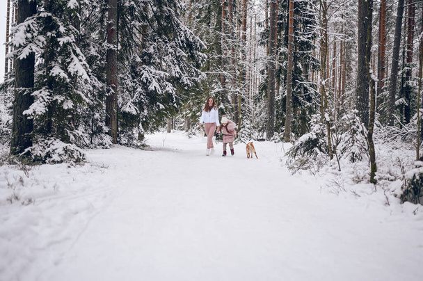 Happy family young mother and little cute girl in pink warm outwear walking having fun with red shiba inu dog in snowy white cold winter forest outdoors. Family sport vacation activities - Φωτογραφία, εικόνα