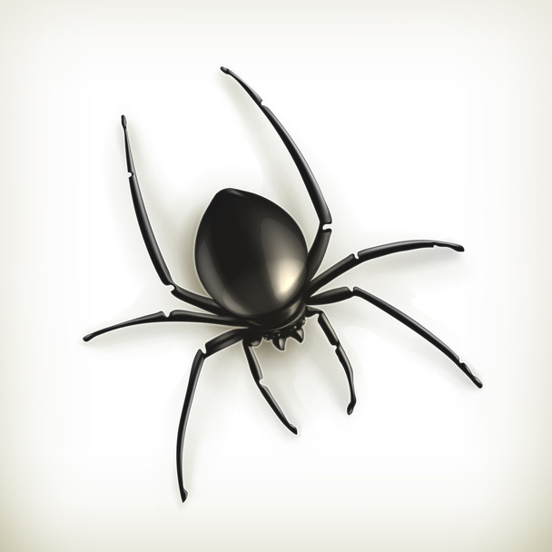 Spider vector - Vector, Image