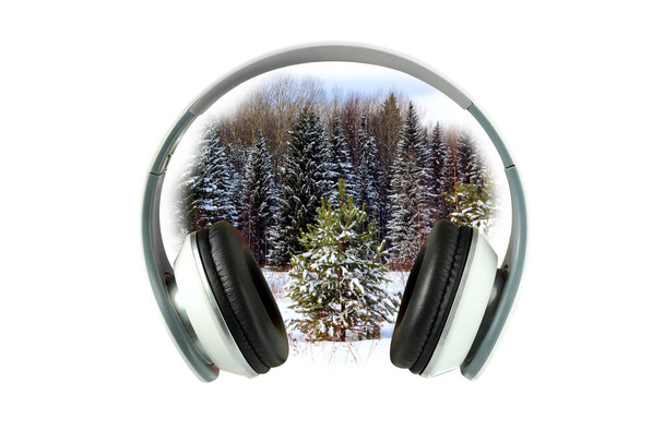 Headphones and winter forest, a pine, a fur-tree in the snow, collage. - Photo, Image