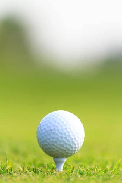 balle de golf sur herbe verte - Photo, image