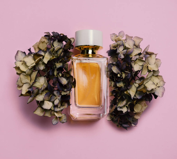 Top view composition with dried hydrangea flowers and perfume bottle on a pastel pink background. - Φωτογραφία, εικόνα