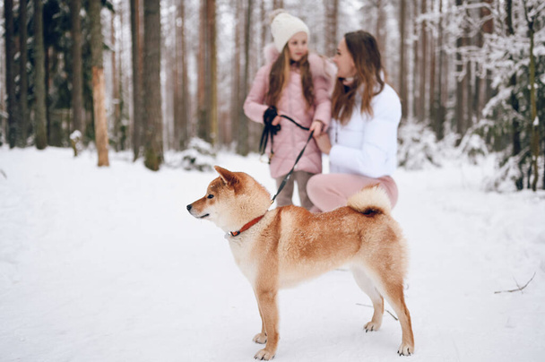 Felice famiglia giovane madre e bambina carina in rosa outwear caldo a piedi divertendosi con il cane rosso shiba inu in neve bianca foresta invernale fredda all'aperto. Attività per vacanze sportive per famiglie - Foto, immagini