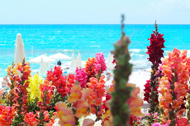 Цветы разноцветные на фоне бирюзового моря. - Фото, изображение