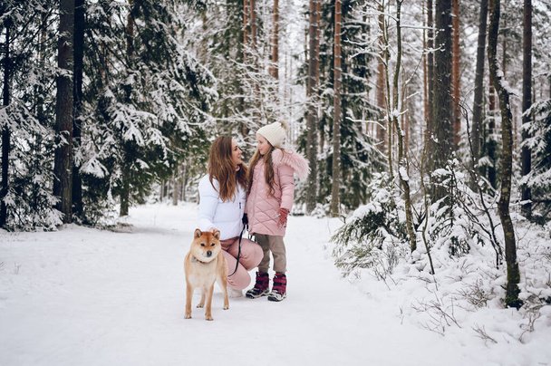 Happy familie jonge moeder en klein schattig meisje in roze warme outwear wandelen plezier met rode shiba inu hond in besneeuwde witte koude winter bos buiten. Familie sport vakantie activiteiten - Foto, afbeelding