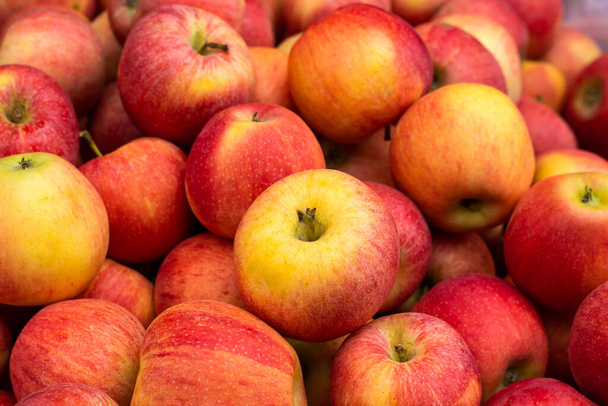 Heap de maçãs amarelas vermelhas maduras fechar, fokus seletivo. - Foto, Imagem