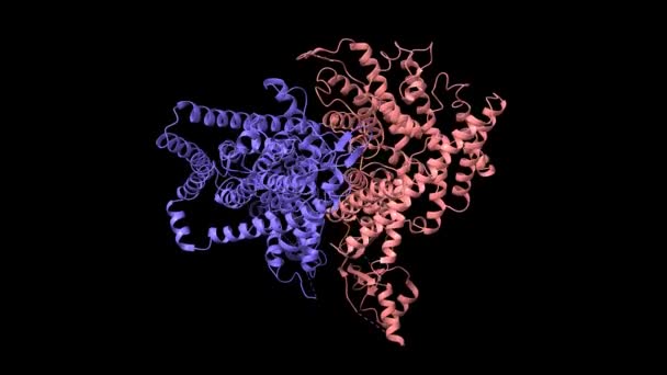 КриоЭМ-структура человека ClC-1 хлоридный канал гомодимер, цистатионино-синтазное состояние домена 1-3, анимированная 3D мультфильм-гауссова модель поверхности, черный фон - Кадры, видео