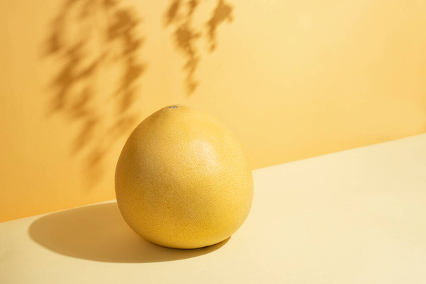 Pomelo amarillo fresco sobre un fondo amarillo y naranja a la luz del sol, hermosas sombras, de cerca. Concepto isométrico moderno. - Foto, imagen