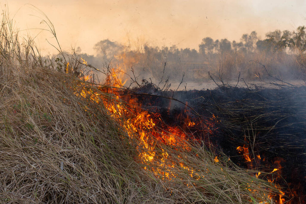 Humo y llamas estaban quemando paja seca en el campo de estación seca. - Foto, Imagen