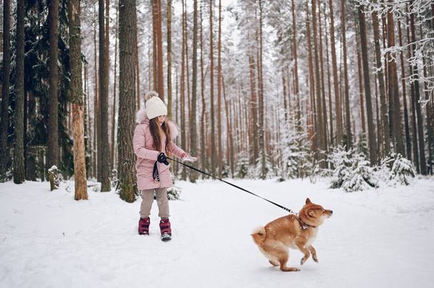 Ευτυχισμένο οικογενειακό Σαββατοκύριακο - μικρό χαριτωμένο κορίτσι σε ροζ ζεστό outwear περπάτημα διασκεδάζοντας με κόκκινο Shiba inu σκυλί σε χιονισμένο λευκό κρύο δάσος χειμώνα σε εξωτερικούς χώρους. Παιδικές αθλητικές δραστηριότητες έννοια διακοπές - Φωτογραφία, εικόνα