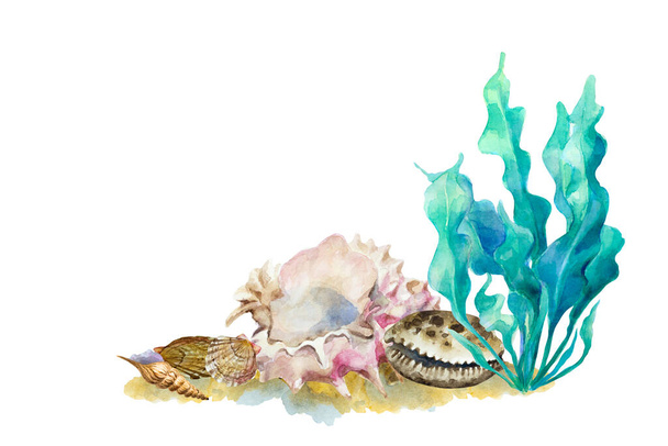 Corner frame of colorful sea shells and seaweed. Copy space for design. Hand drawn watercolor illustration. - Фото, зображення