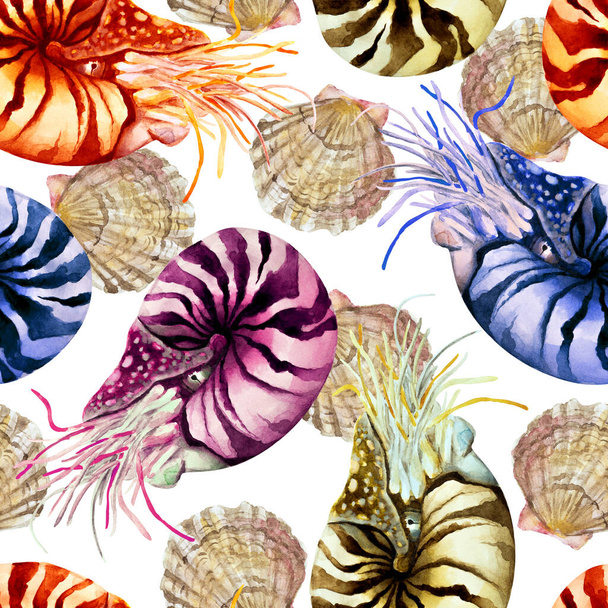 Barevný Nautilus měkkýš (Nautilus pompillius) s mušlemi na bílém pozadí, ručně kreslený akvarel ilustrace. Bezproblémový vzor. - Fotografie, Obrázek