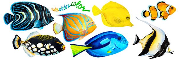 Set of tropical reef fish clownfish, moorish idol (zanclus), Emperor angelfish, blue-ringed angelfish, blue tang, yellow tang (zebrasoma) and clown triggerfish. Hand drawn watercolor illustration. - Photo, Image