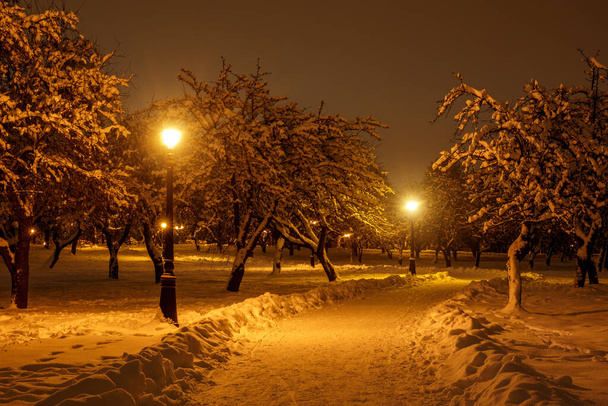 Wandelpad in een winter stadspark. - Foto, afbeelding