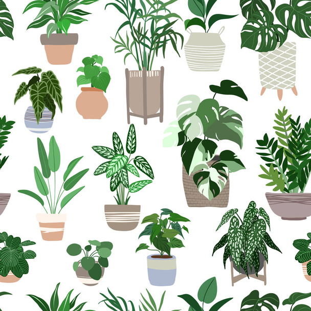 Indoor plants seamless pattern, hand drawn flat - Vettoriali, immagini