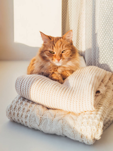 Cute ginger cat lies on pile of cable-knitted sweaters. Winter sunset. Fluffy pet on window sill with warm clothes. - Fotografie, Obrázek