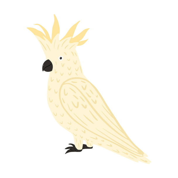 Papegaai kaketoe geïsoleerd op witte achtergrond. Leuke tropische karakter vogel witte kleur. Doodle vector illustratie. - Vector, afbeelding