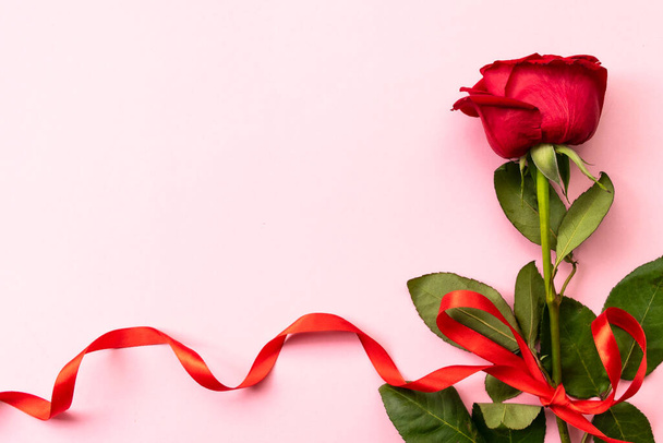 Κόκκινο τριαντάφυλλο με κόκκινη κορδέλα σε ροζ φόντο. Έννοια της ημέρας του Αγίου Βαλεντίνου, της ημέρας της μητέρας, της ημέρας των γυναικών και των γενεθλίων. Χαιρετίσματα κάρτα. Αντιγραφή χώρου. Επίπεδη. - Φωτογραφία, εικόνα