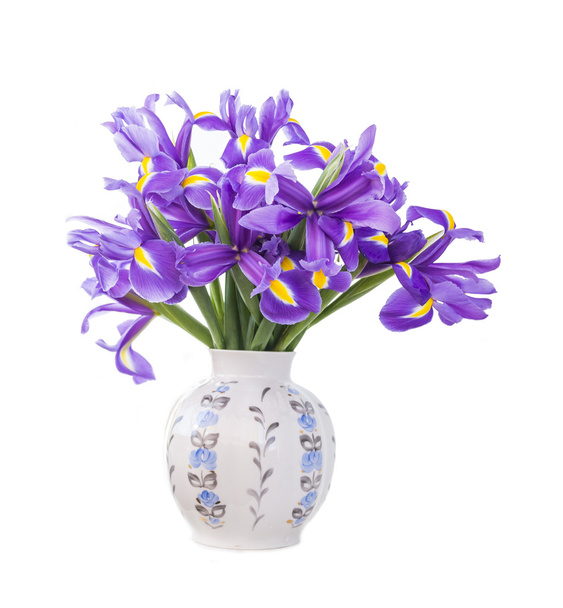 Iris flowers - Fotoğraf, Görsel