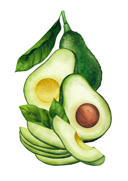 Акварельні фрукти авокадо та листя ізольовані на білому тлі
 - Фото, зображення