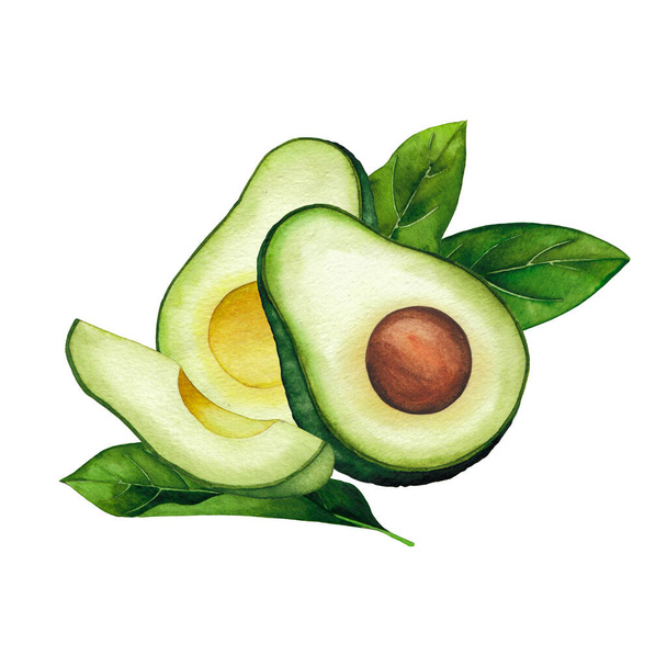 Waterkleur avocado vruchten en bladeren geïsoleerd op witte achtergrond - Foto, afbeelding