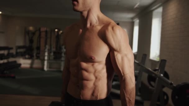 Junger muskulöser Mann trainiert im Fitnessstudio und pumpt Bizeps, der mit schweren Hanteln die Arme beugt - Filmmaterial, Video