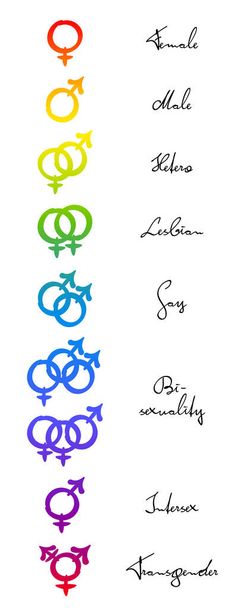 HOMO - HETERO - símbolos BI. Símbolos femeninos, masculinos, lesbianas, gays, bisexuales, intersexuales y transexuales. Signos de color arco iris sobre fondo blanco. Identidad de género y orientación sexual. - Vector, imagen