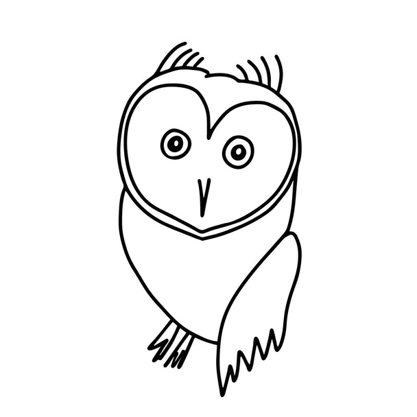 A Hand-drawn black outline vector illustration of one fun owl on a white background - Vector, Image