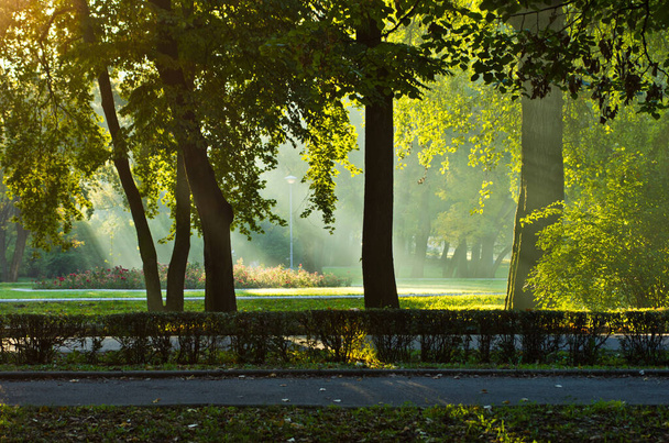 Первые солнечные лучи осенним утром в парке Топсидер, Белград, Сербия - Фото, изображение