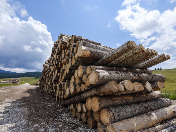 Des troncs d'arbres coupés et empilés en attendant d'être transportés à la scierie. tas troncs de bois, l'industrie du bois de coupe. Large bannière ou panorama troncs en bois. - Photo, image