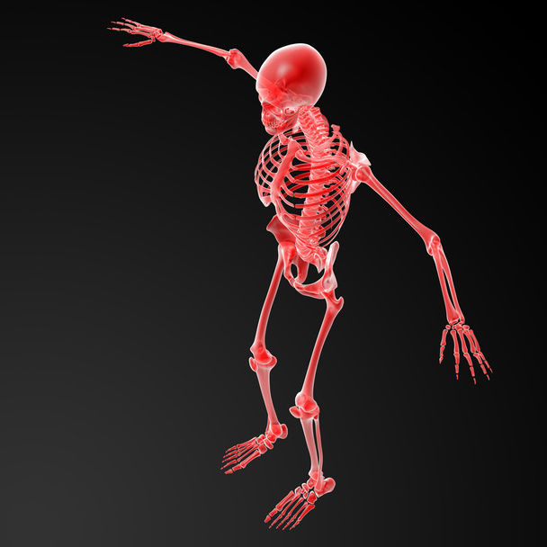 3D gerendertes rotes Skelett - Foto, Bild