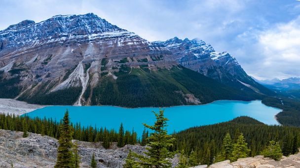カナダのバンフ国立公園にあるターコイズ湖ペイトー。キツネの頭としての山の湖は観光客の間で人気がある  - 写真・画像