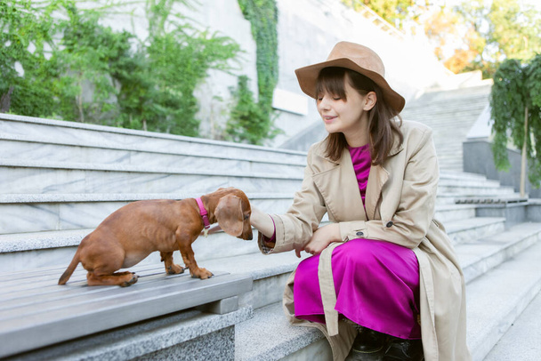 Mladá módní žena hladí její jezevčík štěně venku - Fotografie, Obrázek