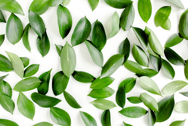 Pattern, texture with green leaves isolated on white background. lay flat, top view - 写真・画像