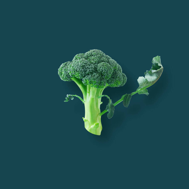 Friss nyers brokkoli sötétkék pasztell háttér - Fotó, kép