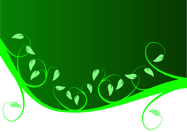 Зеленый и белый цветочный фон
 - Вектор,изображение