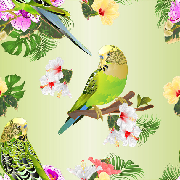 Seamless texture green parakeets Budgerigar  pets parakeet  on a bouquet with tropical flowers purple and white orchid phalenopsis and hybiscus  palm,philodendron  vintage vector illustration editable hand draw - Vektor, kép