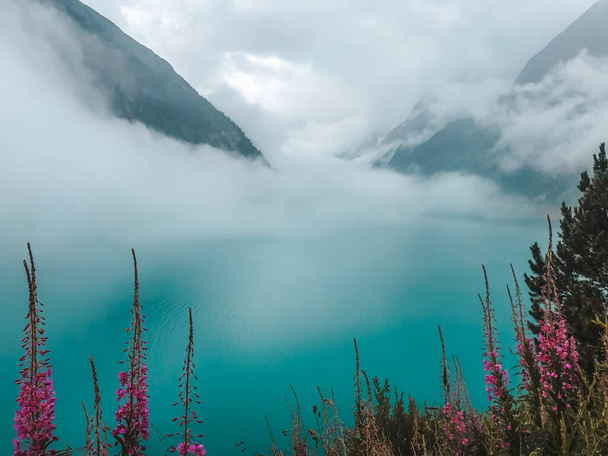 Clear blue alpine Lake Schlegais with vibrant purple flowers and mountains in the background in cloudy weather. Schlegais, Zillertal Alps, Mayrhofen, Austria - Fotografie, Obrázek