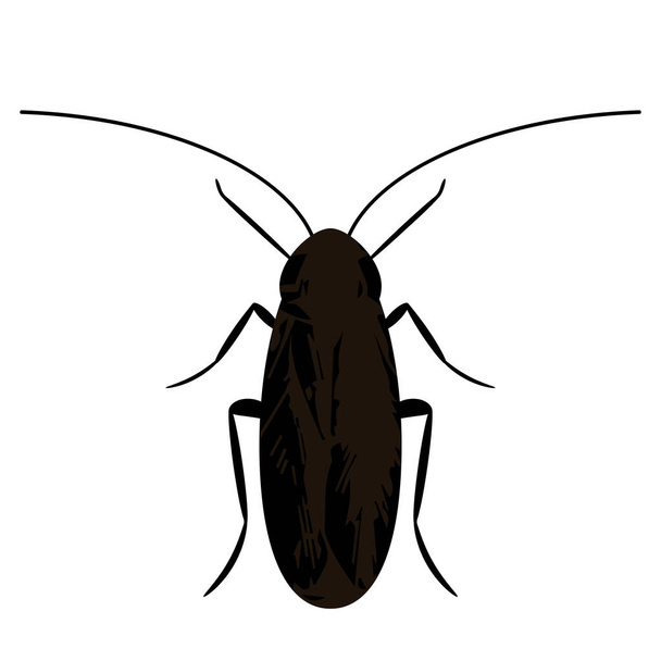 silhouette of a black cockroach. icon in flat style isolated on white background - Vector, Image