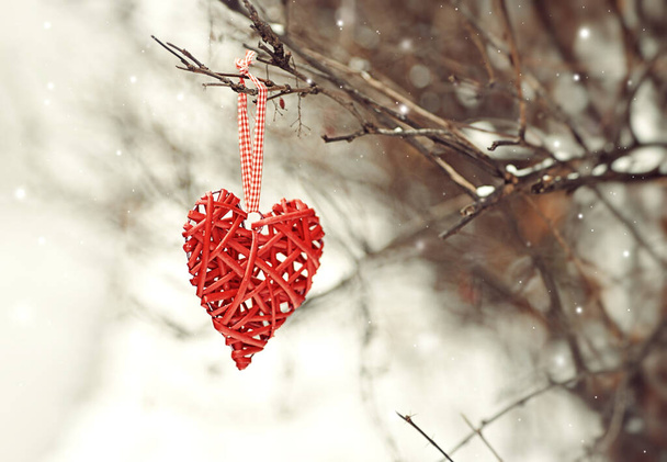 Hintergrund zum Valentinstag. Rotes Herz auf einem Ast vor einem Hintergrund aus Schnee - Foto, Bild