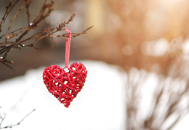 День святого Валентина. Красное сердце на ветке на фоне снега - Фото, изображение