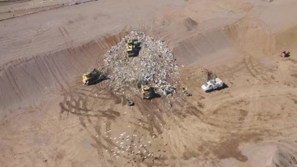 Σμήνη λευκών τροπικών πουλιών που πετούν πάνω από την χωματερή. Απορρίμματα φορτηγών που ισοπεδώνουν απόβλητα - Πλάνα, βίντεο