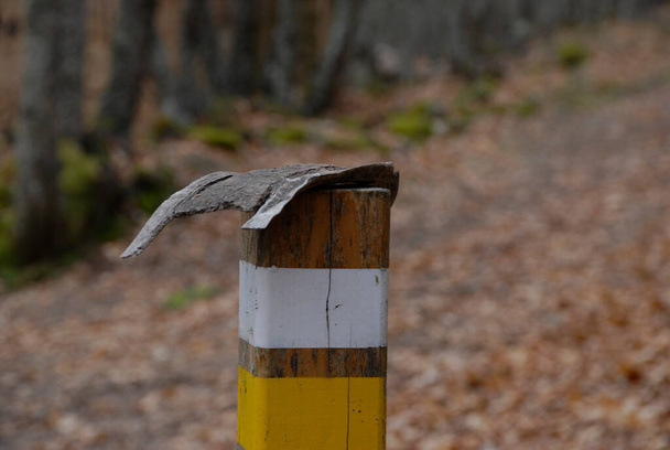 Señalización amarilla y blanca de corto recorrido en poste de madera - Foto, imagen