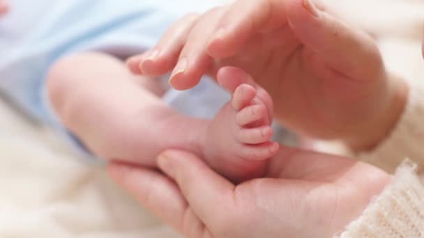 Close-up shot van kleine pasgeboren baby voeten in zachte moeders handen. Begrip gezinsgeluk en liefhebbende ouders met kleine kinderen - Video