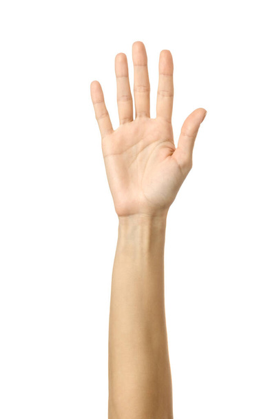 Raised hand voting or reaching. Woman hand gesturing isolated on white - Φωτογραφία, εικόνα