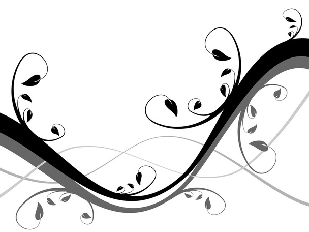 A black and white abstract floral background - Vector, Image