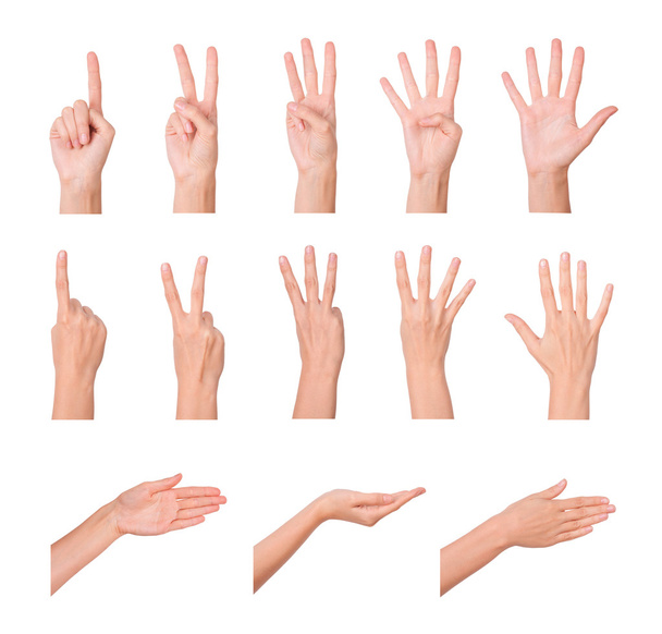 Hands, fingers and numbers - Foto, Bild