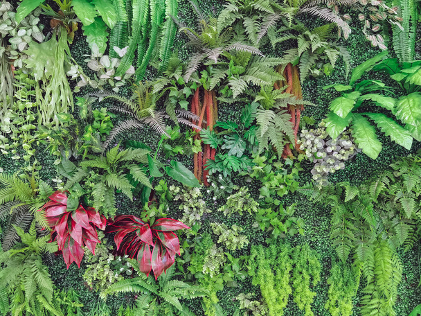 Molti bella decorazione vegetale verde artificiale sulla parete e farlo sembrare fresco e bello. Decorare il giardino con piante finte sulla parete della casa per lo sfondo della natura. Focus selettivo. - Foto, immagini