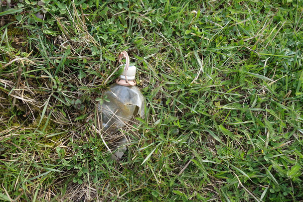 Пластикова пляшка, викинута в траву
 - Фото, зображення