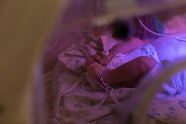 Female doctor examining newborn baby in incubator. Close up female hands with a stethoscope. - Photo, Image